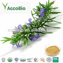 Good Price Carnosic Acid 20%-60% from Rosemary Extract